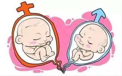 试管捐卵机构生殖中心
